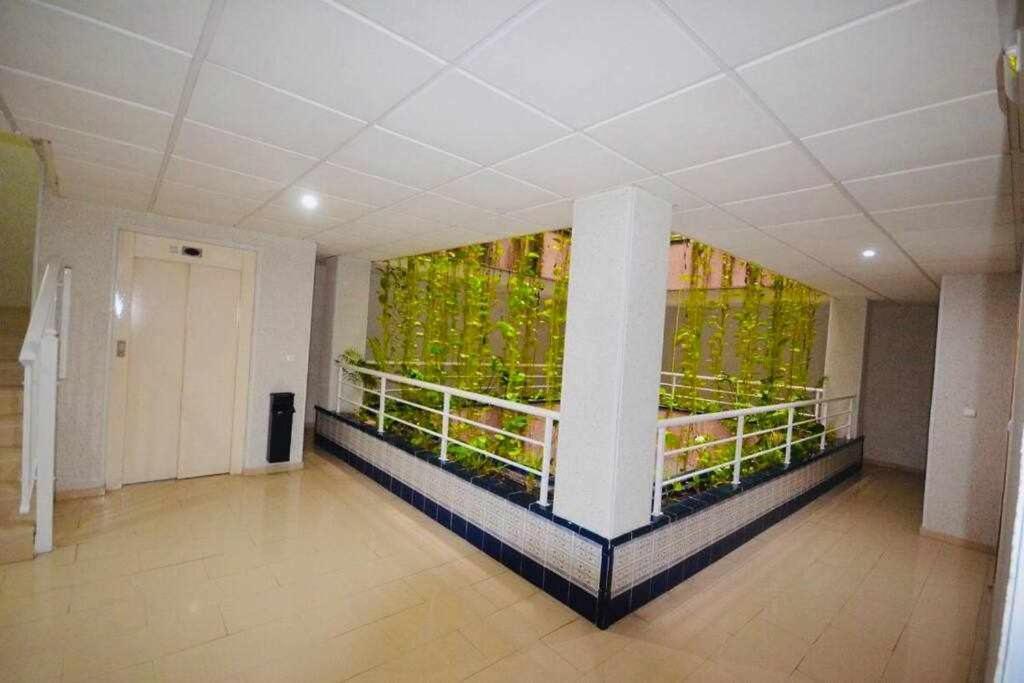 Apartamento Pink Sweet Home Torrevieja Extérieur photo